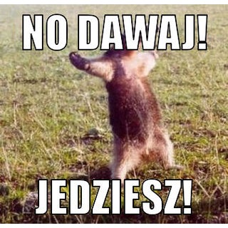 2832655241365444388.jpeg?v=1341241408.15