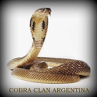 Cobra Clan