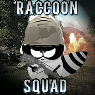 Es Oficial: Raccoon Squad 2832655241208902923.jpeg?v=1338419771